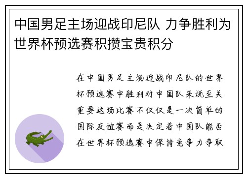 中国男足主场迎战印尼队 力争胜利为世界杯预选赛积攒宝贵积分 中国男足主场迎战印尼队 力争胜利为世界杯预选赛积攒宝贵积分