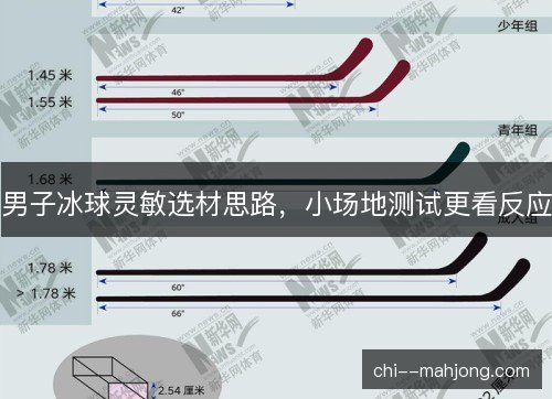 男子冰球灵敏选材思路，小场地测试更看反应